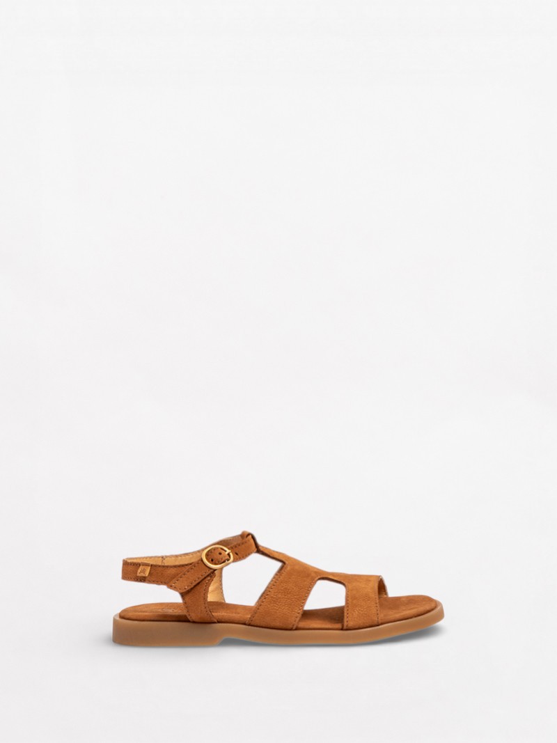Arenisca N5879